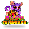slot bush telegraph