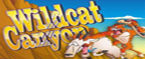 slot wildcat canyon